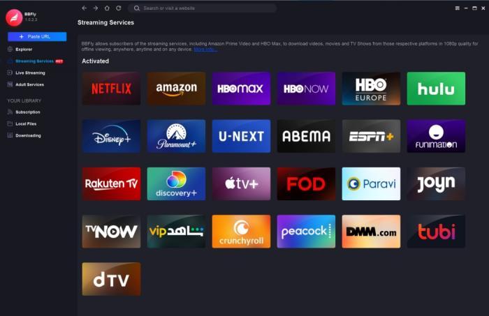 Interface do BBFly Netflix Downloader