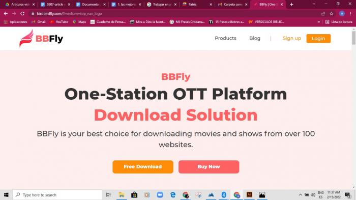 BBFly