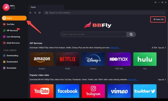BBFly Downloader mit geöffneter Videoquelle