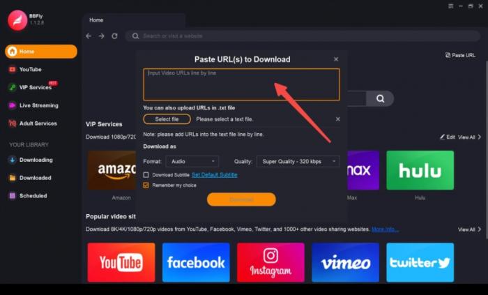 Ausgabeformat und Videoqualität in BBFly auswählen