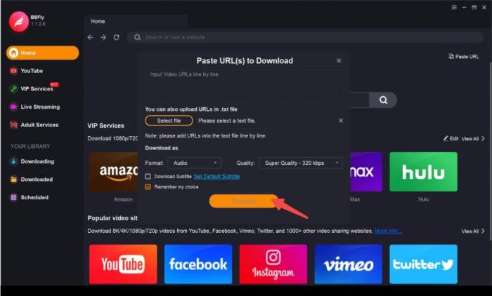Fortschritt eines Video-Downloads in BBFly