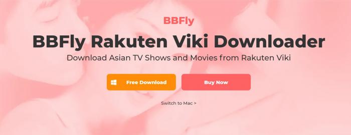 BBFly Viki Downloaderの起動画面とVikiサービス選択