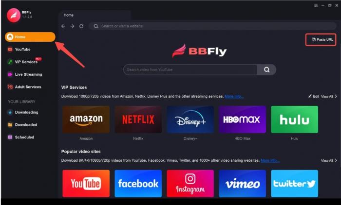 Video-URL in BBFly einfügen